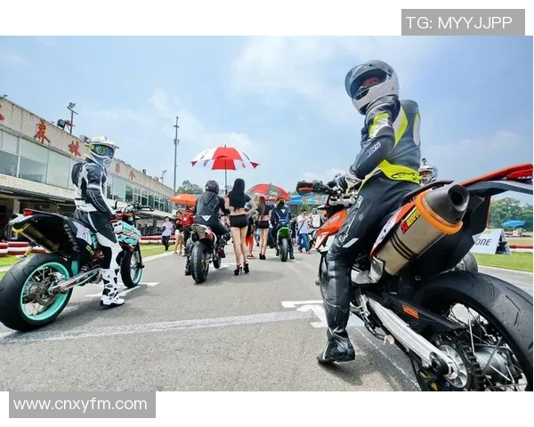 南京排球队在杯赛中的强势表现与未来展望分析